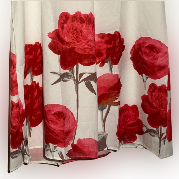 Red Roses Dress - Picture 5 of 5